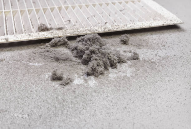 Best Air Duct Cleaning Near Me  in Prestbury, IL