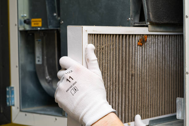 Best Air Duct Mold Removal  in Prestbury, IL