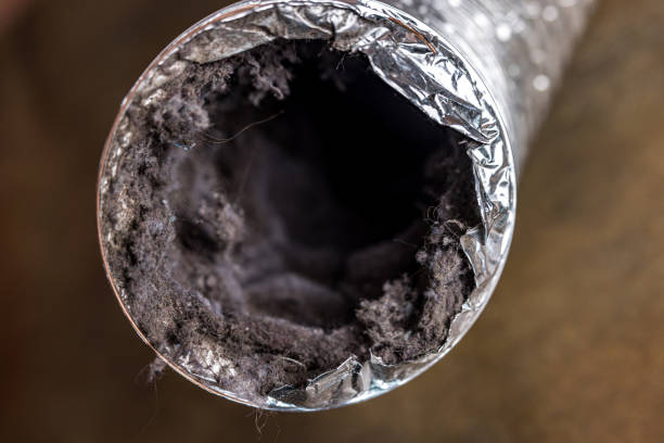 Best HVAC System Cleaning  in Prestbury, IL